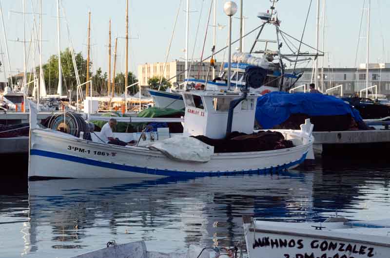 Mallorca - Palma 126 - puerto pescadores.jpg